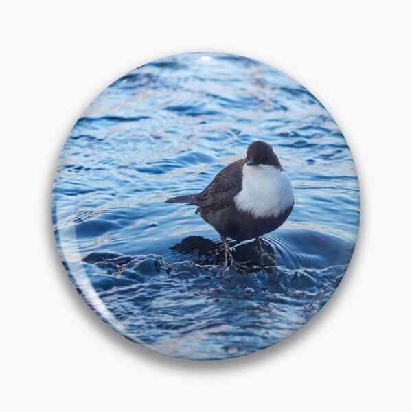 Item preview, White-throated dipper in blue.  Winter 2026 designed and sold by Jouko Lehto Photography.