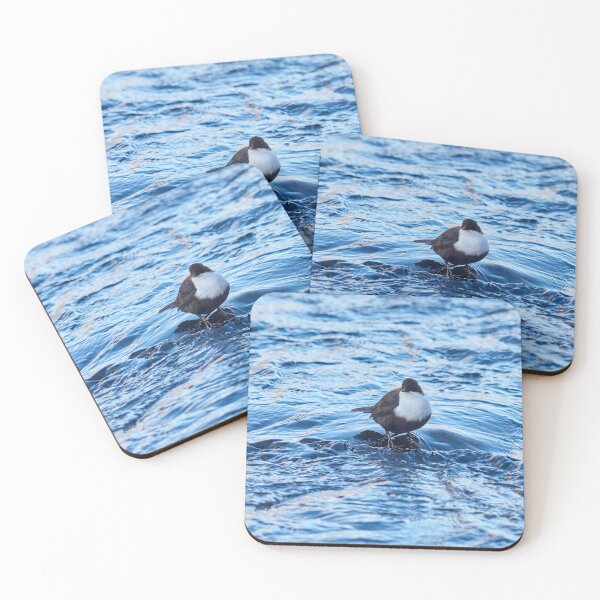 Item preview, White-throated dipper in blue.  Winter 2026 designed and sold by Jouko Lehto Photography.