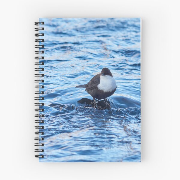 Item preview, White-throated dipper in blue.  Winter 2026 designed and sold by Jouko Lehto Photography.