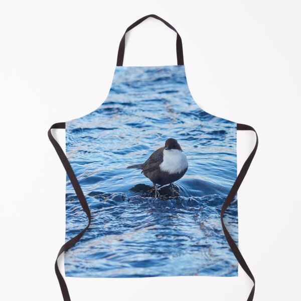 Item preview, White-throated dipper in blue. Winter 2026 designed and sold by Jouko Lehto Photography.