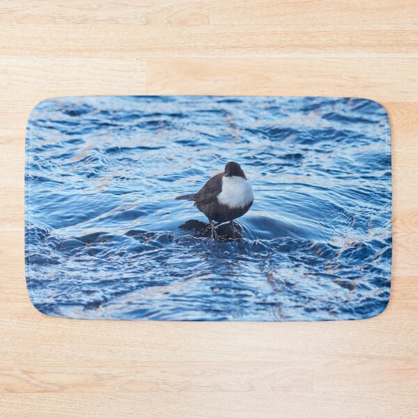 Item preview, White-throated dipper in blue.  Winter 2026 designed and sold by Jouko Lehto Photography.