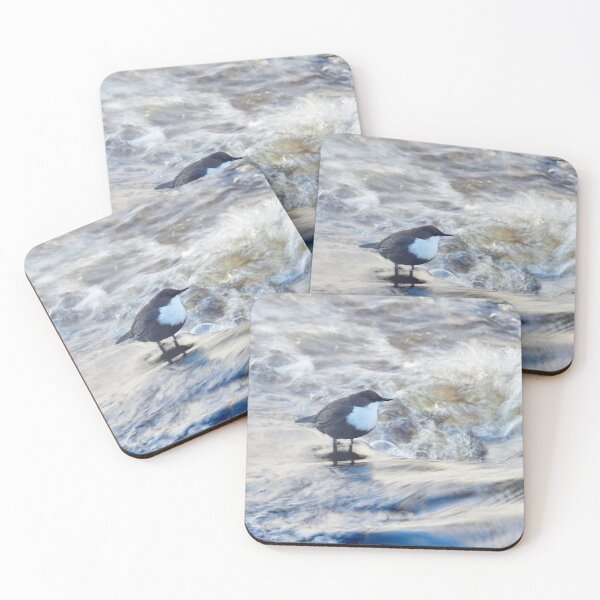 Item preview, Wild waters. White-throated dipper Winter 2026 designed and sold by Jouko Lehto Photography.