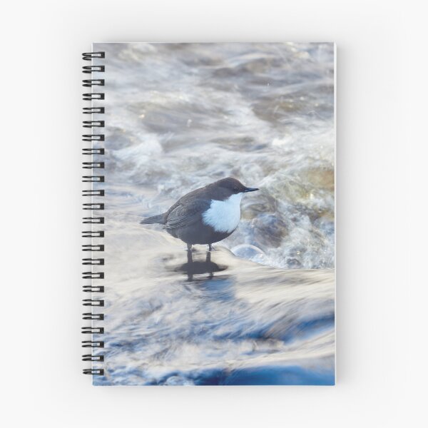 Item preview, Wild waters. White-throated dipper Winter 2026 designed and sold by Jouko Lehto Photography.