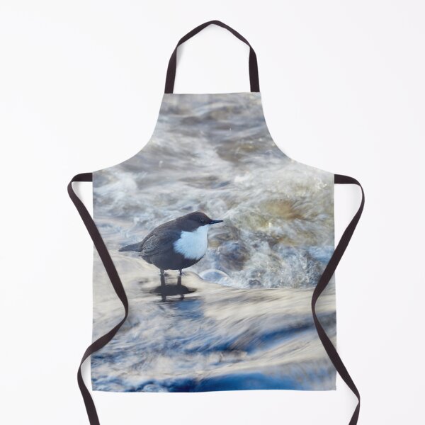 Item preview, Wild waters. White-throated dipper Winter 2026 designed and sold by Jouko Lehto Photography.
