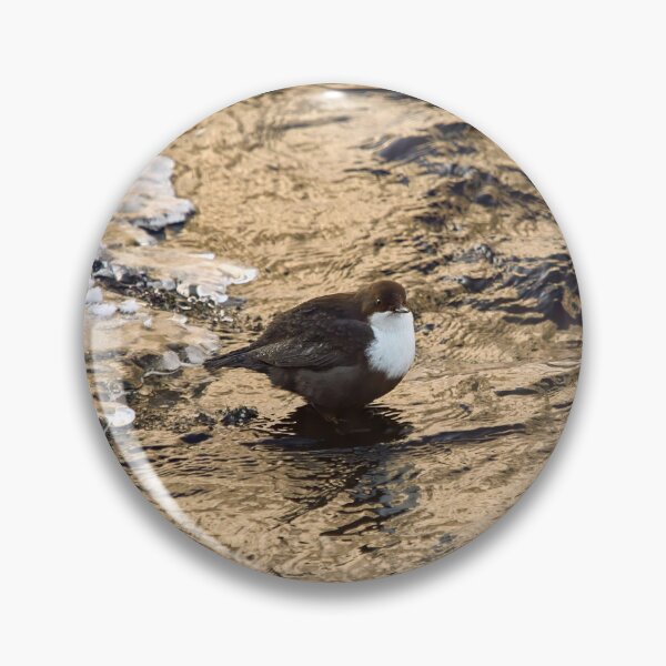 Item preview, Copper river. White-throated dipper Winter 2026 designed and sold by Jouko Lehto Photography.