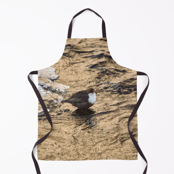 Item preview, Copper river. White-throated dipper Winter 2026 designed and sold by Jouko Lehto Photography.