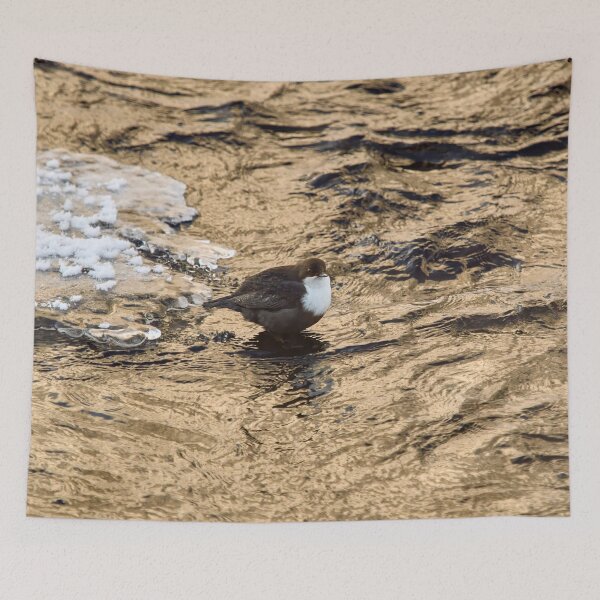 Item preview, Copper river. White-throated dipper Winter 2026 designed and sold by Jouko Lehto Photography.