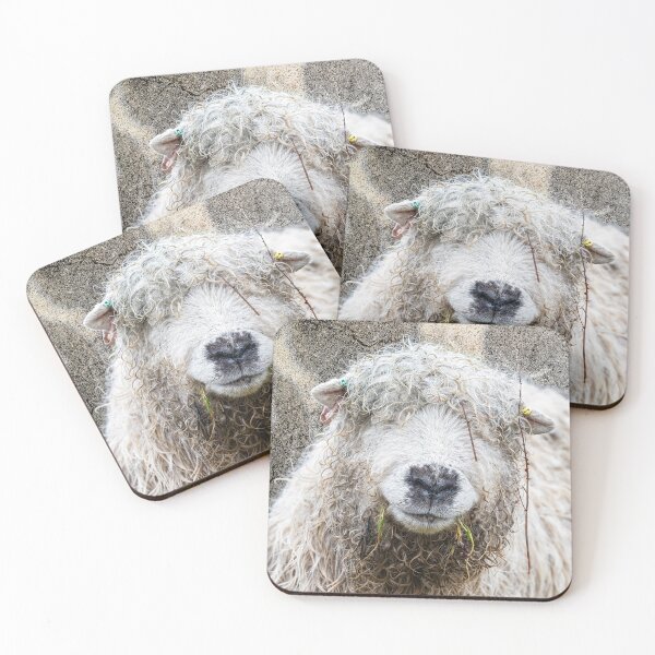 Item preview, Wet Hair Day designed and sold by Andrew Fletcher Photography.
