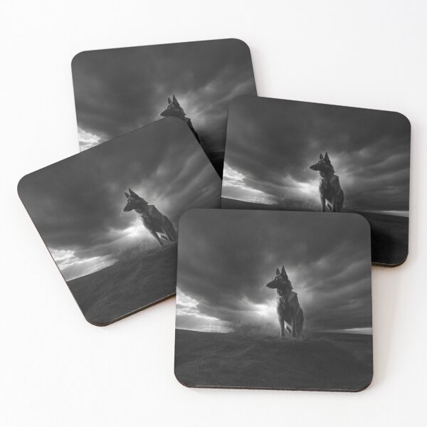 Item preview, A watchful Belgian Malinois standing guard at dusk, Dogs in Motion designed and sold by CDC40.