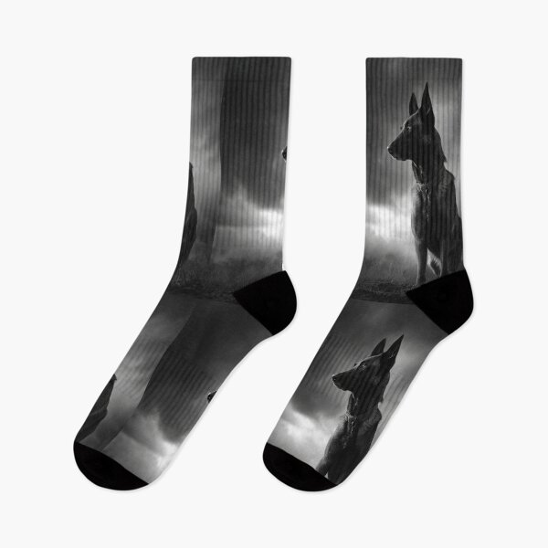Item preview, A watchful Belgian Malinois standing guard at dusk, Dogs in Motion designed and sold by CDC40.