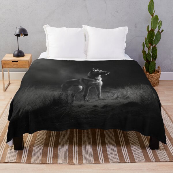 Item preview, A watchful Belgian Malinois standing guard at dusk, Dogs in Motion designed and sold by CDC40.