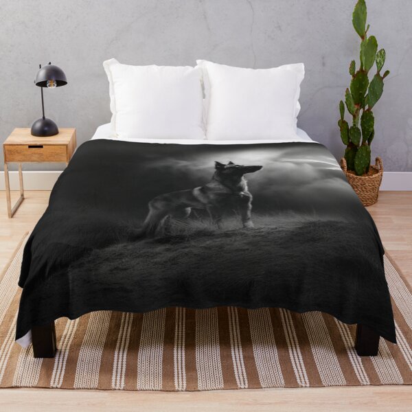 Item preview, A watchful Belgian Malinois standing guard at dusk, Dogs in Motion designed and sold by CDC40.