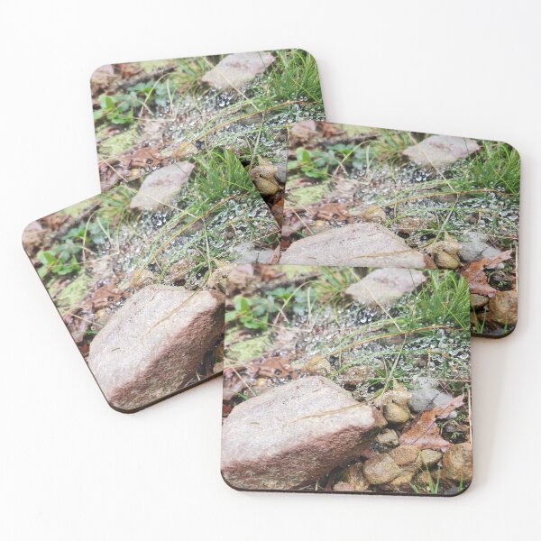 Item preview, Morning raindrops designed and sold by Michewilt384.