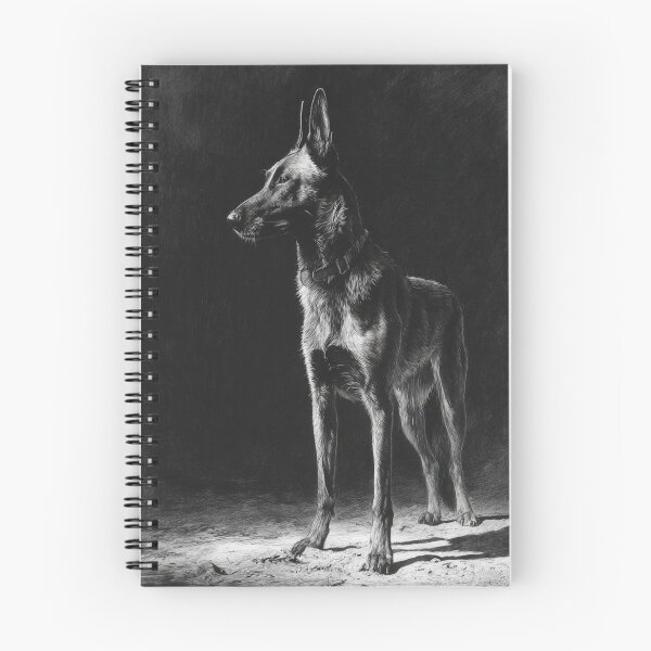 Item preview, A watchful Belgian Malinois standing guard at dusk, Dogs in Motion designed and sold by CDC40.