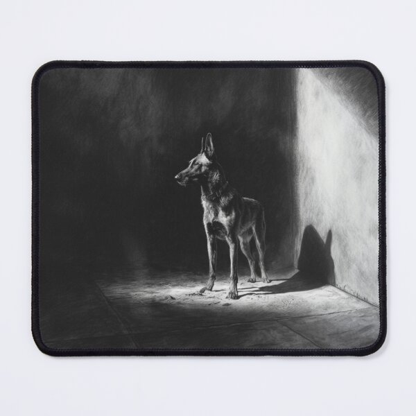 Item preview, A watchful Belgian Malinois standing guard at dusk, Dogs in Motion designed and sold by CDC40.