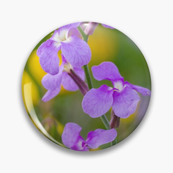 Item preview, Lanzarote Spring Flowers designed and sold by iCimages.net.