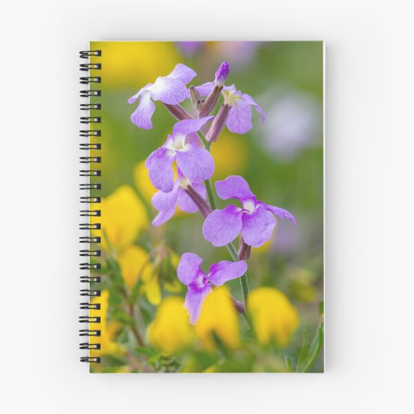 Item preview, Lanzarote Spring Flowers designed and sold by iCimages.net.