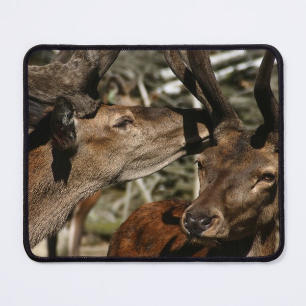 Item preview, Deer Secrets designed and sold by Wayne King.