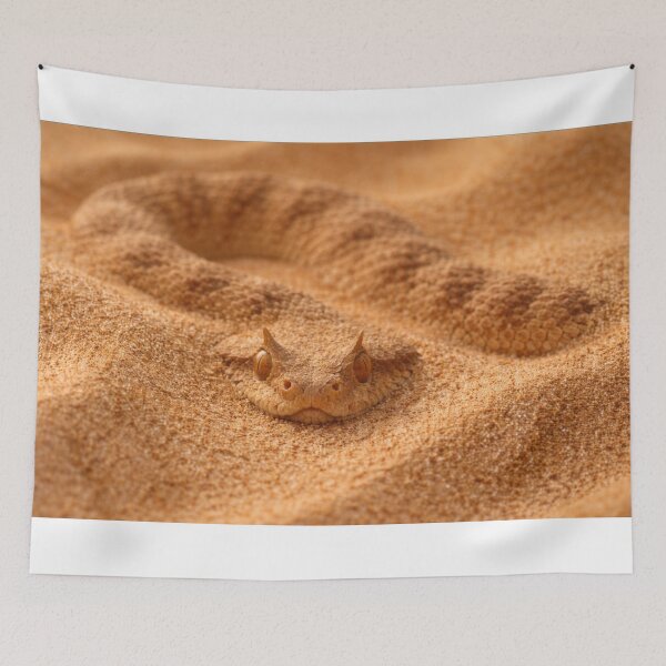 Item preview, Sand Ambush Viper designed and sold by Miryou.