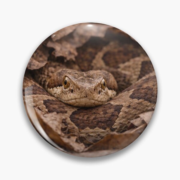 Item preview, Hidden Forest Viper designed and sold by Miryou.