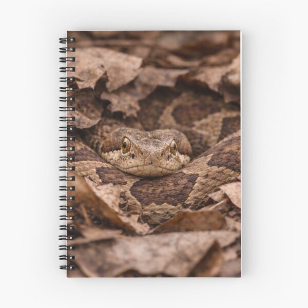 Item preview, Hidden Forest Viper designed and sold by Miryou.
