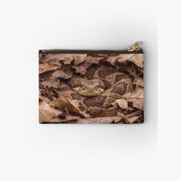 Item preview, Hidden Forest Viper designed and sold by Miryou.
