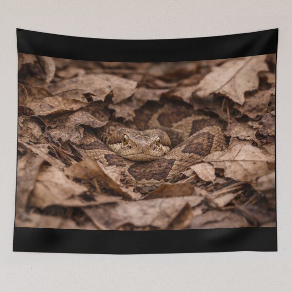 Item preview, Hidden Forest Viper designed and sold by Miryou.