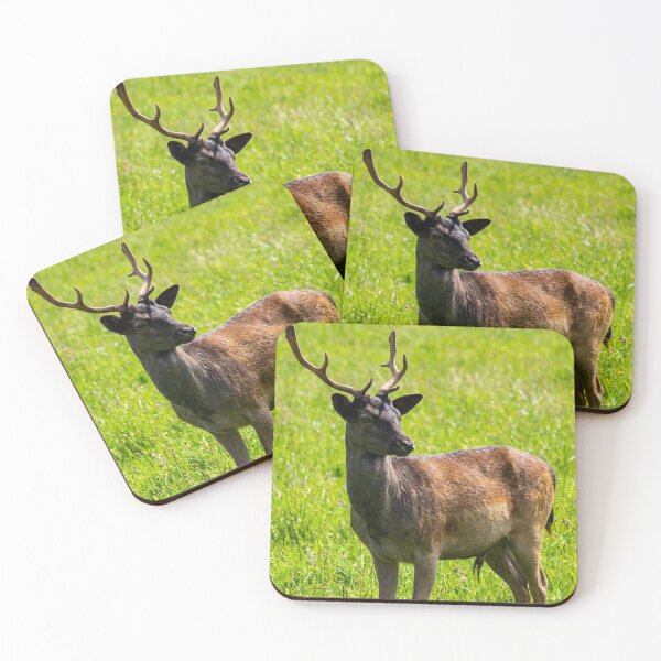 Item preview, Fallow deer designed and sold by missmoneypenny.