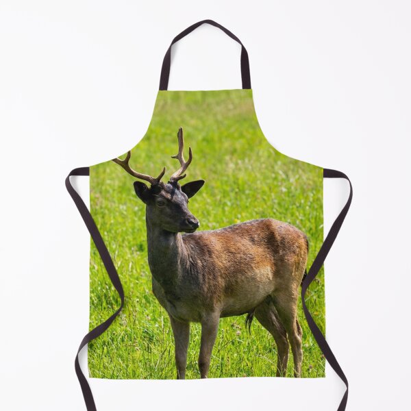 Item preview, Fallow deer designed and sold by missmoneypenny.