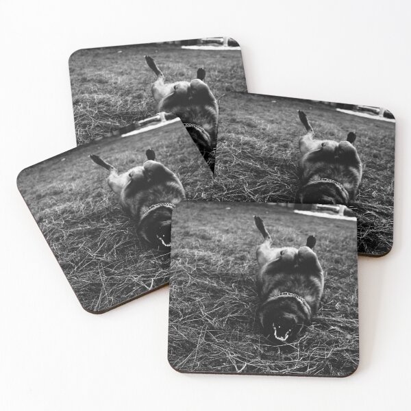 Item preview, Belgian Malinois Landshark - Black and White Dog Art designed and sold by BeyondInkwell.