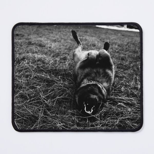 Item preview, Belgian Malinois Landshark - Black and White Dog Art designed and sold by BeyondInkwell.