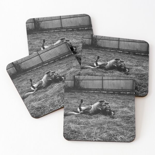 Item preview, Belgian Malinois Rolling in the Grass - Black and White Art designed and sold by BeyondInkwell.