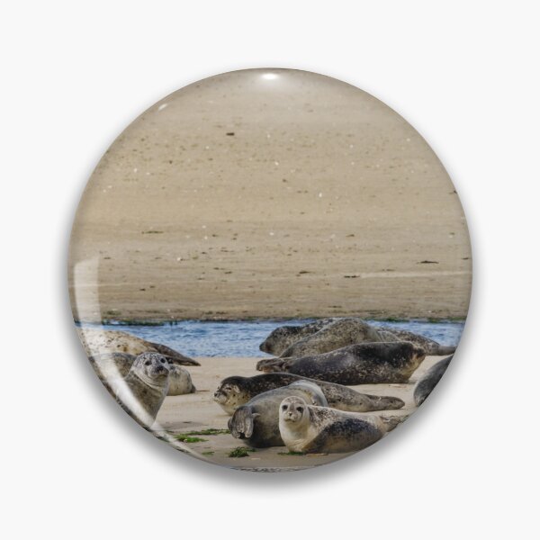 Item preview, Seals off Langeoog in the North Sea designed and sold by Klaus Offermann.