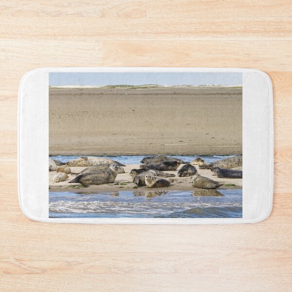 Item preview, Seals off Langeoog in the North Sea designed and sold by Klaus Offermann.