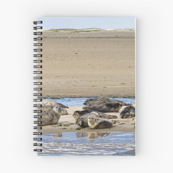 Item preview, Seals off Langeoog in the North Sea designed and sold by Klaus Offermann.