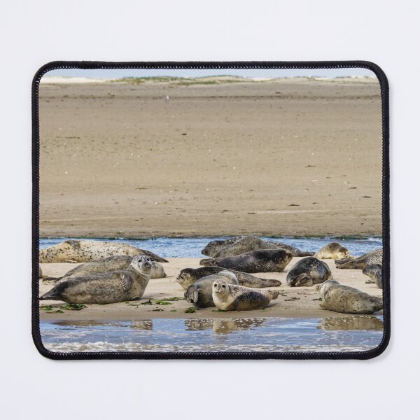Item preview, Seals off Langeoog in the North Sea designed and sold by Klaus Offermann.