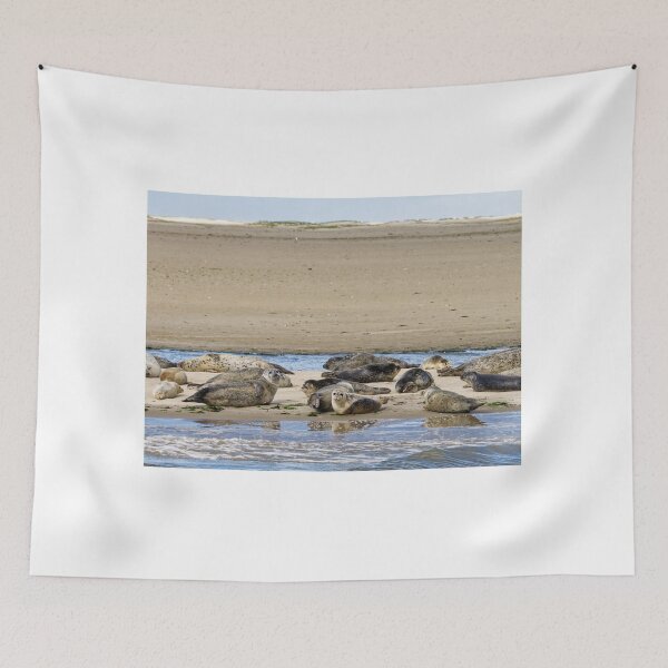 Item preview, Seals off Langeoog in the North Sea designed and sold by Klaus Offermann.