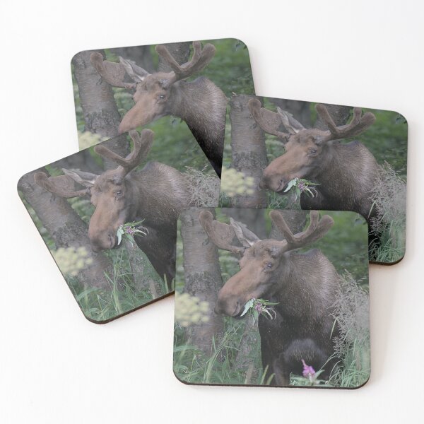 Item preview, Wild moose bring flowers to his favorite gal. designed and sold by Cryptids 4 Congress.