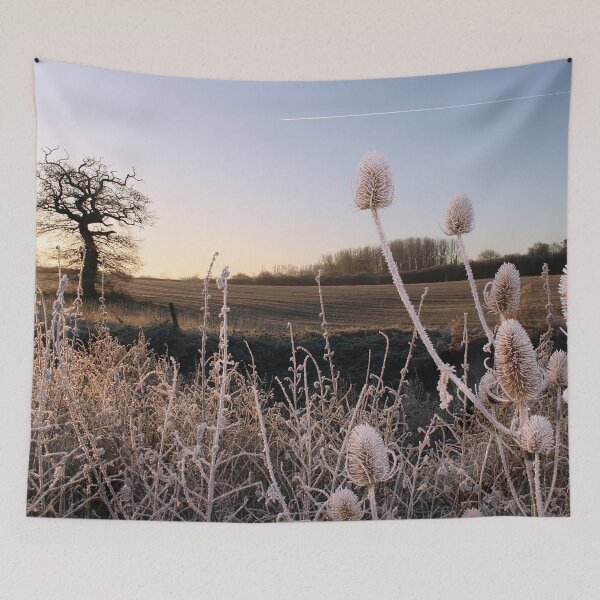 Item preview, Winter Teasel designed and sold by Murph's Images.