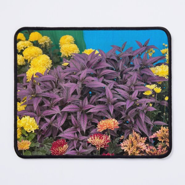 Item preview, Purple Majesty Golden Blooms designed and sold by Carolly Dawn Photography.