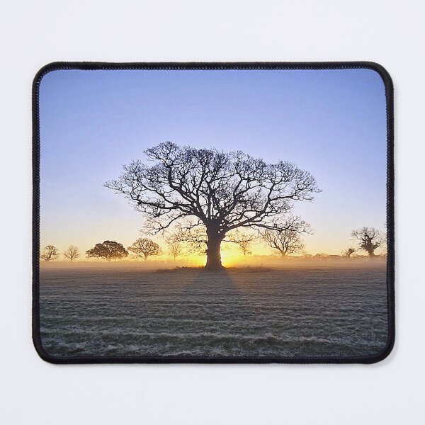 Item preview, Morning Tree designed and sold by Murph's Images.