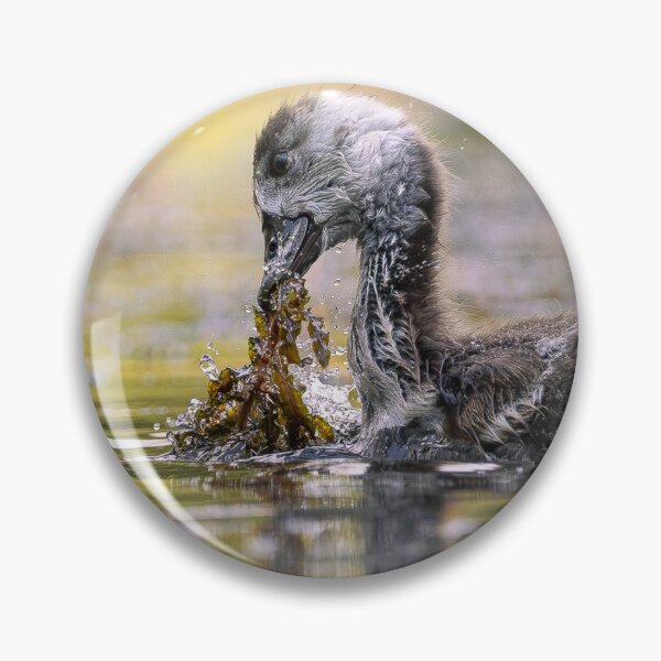 Item preview, Wild Moment designed and sold by FlorianHussFotografie.