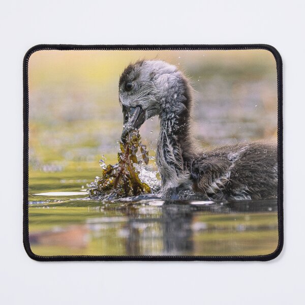 Item preview, Wild Moment designed and sold by FlorianHussFotografie.