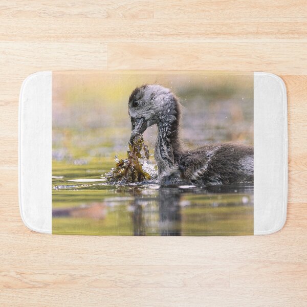 Item preview, Wild Moment designed and sold by FlorianHussFotografie.