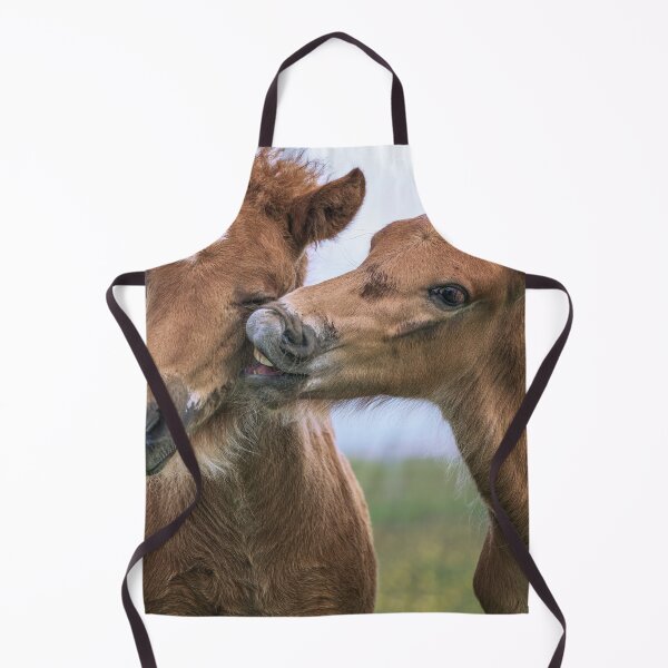 Item preview, Two Icelandic Foals Nuzzling designed and sold by PhotoArt by Joan Carroll.