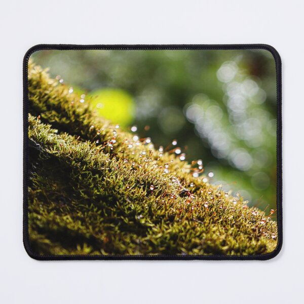 Item preview, Close-up of morning dew drops on forest moss. designed and sold by NaturePhotography.