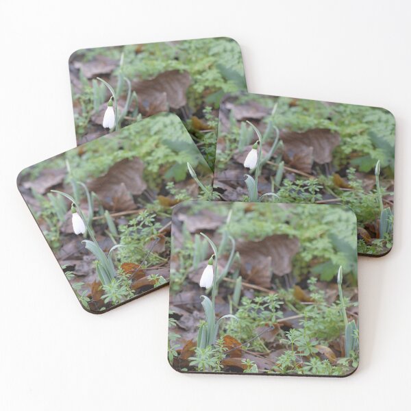 Item preview, Snowdrop designed and sold by Hevparsons.
