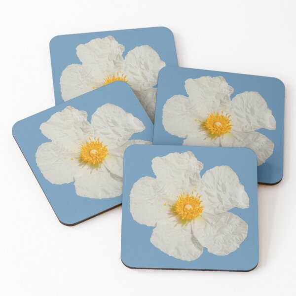 Item preview, White Cistus flower designed and sold by Dalyndigital Photography.