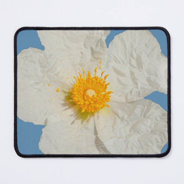 Item preview, White Cistus flower designed and sold by Dalyndigital Photography.
