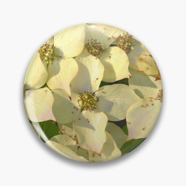 Item preview, Vintage cream yellow florals photo | dogwood | white and green floral  | magnolia tree  designed and sold by hollycooper.